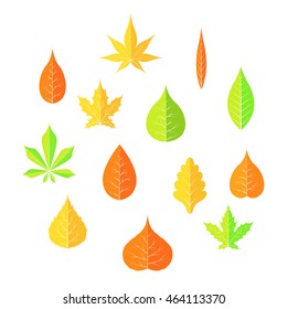 autumn leaves on a white isolated background Flat style vector EPS 10