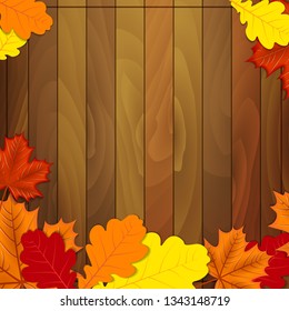autumn leaves on a wooden background oak maple