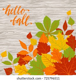 Autumn leaves on wooden background, hand drawn vector illustration.