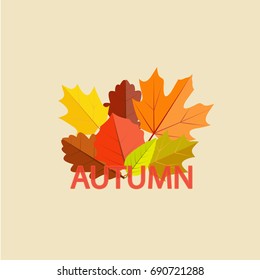 Autumn leaves on a yellow background. Vector illustration.