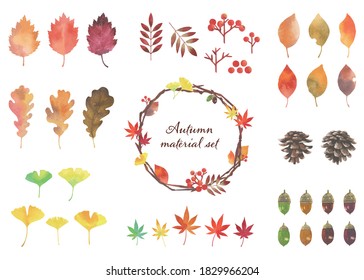 Autumn leaves and other natural materials. Parts set. Watercolor illustrations.