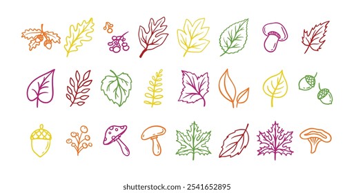 Autumn leaves outline doodle set. Botanical fall contour stickers. Vector leaf clipart drawings . Vector illustration