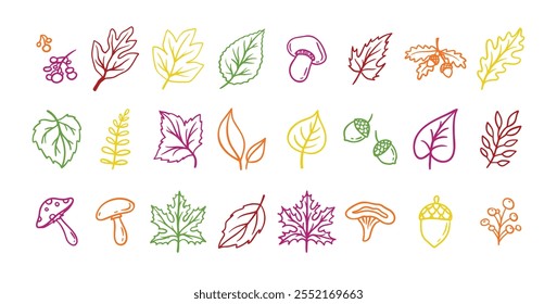 Autumn leaves outline doodle set. Botanical fall contour stickers. Vector leaf clipart drawings . Vector illustration