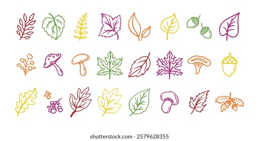 Autumn leaves outline doodle set. Botanical fall contour stickers. Vector leaf clipart drawings . Vector illustration
