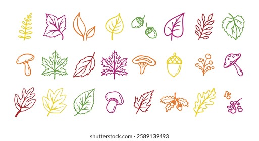 Autumn leaves outline doodle set. Botanical fall contour stickers. Vector leaf clipart drawings . Vector illustration