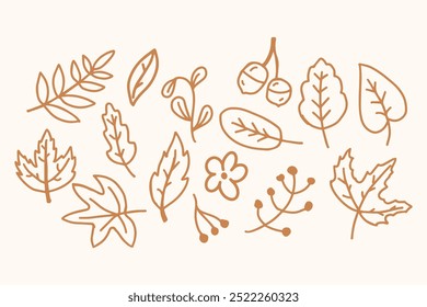 Autumn Leaves Outline Illustration Set is designed to make your project more astonishing.