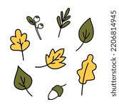 Autumn leaves outline set. Different types of fallen leaves autumn collection. Black outline, yellow and green color, isolated on a white background. Hand drawn cute lineur vector illustration.