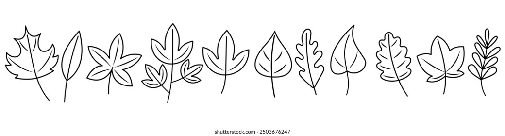 Autumn leaves outline set. Drawn cute cosy design elements. Autumn, Thanksgiving, leaf fall, golden season