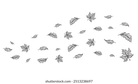 Outumn Leaves Outline Sketch Blown by a Cold Gust of Wind. Folhas de carvalho e de bordo puxadas à mão transportadas durante o tempo ventoso. Ilustração de Rabiscar Vetor. Isolado