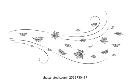 Autumn Leaves Outline Sketch Blown by a Cold Gust of Wind. Hand Drawn Oak and Maple Leaf Carried During Windy Weather. Vector Line Doodle Illustration. Isolated