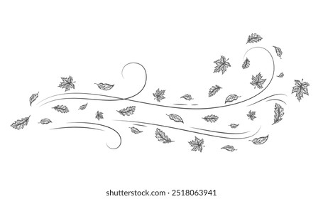 Autumn Leaves Outline Sketch Blown by a Cold Gust of Wind. Hand Drawn Oak and Maple Leaf Carried During Windy Weather. Vector Line Doodle Illustration. Isolated