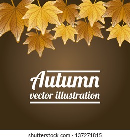 autumn leaves over brown background. vector illustration