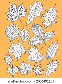 Autumn leaves are painted black on a yellow background. White with black outline. Vector