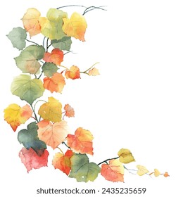 autumn leaves painting watercolour vector illustration for background