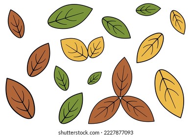 Autumn leaves. Part of a tree with veins. Leaves for herbarium oval. Set of color vector illustrations. Isolated background. Cartoon style. Idea for web design.