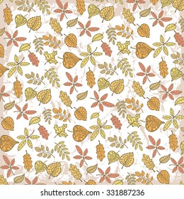 Autumn leaves pattern  background . Use for pattern, wallpaper, web page , backdrop  .Vector illustration,