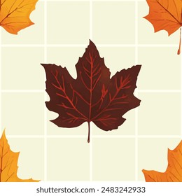 Autumn leaves pattern collection with various colorful foliage