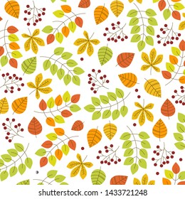 Autumn leaves  pattern. Falling colorful leaves. Autumnal background. Vector hand drawn illustration