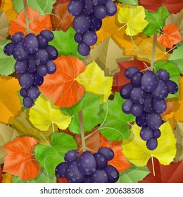 Autumn leaves pattern with grapes