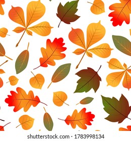 Autumn leaves pattern. Natural seamless pattern with autumn fallen leaves.
