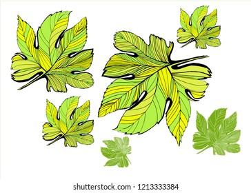 
Autumn leaves pattern on white background. Green yellow illustration, pen and pensile art. Fabric, wallpaper and paper pattern concept. 