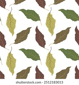 Autumn leaves pattern on white background. Hand drawn vector foliage. Khaki, green, brown colors. Messy organic shapes