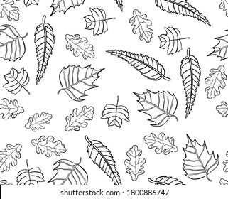  Autumn leaves pattern, seamless background