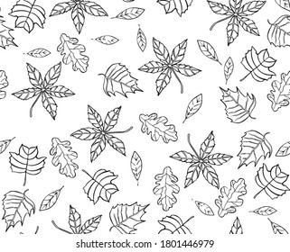  Patrón de hojas de otoño, fondo sin soldadura