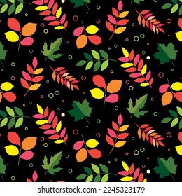 Autumn leaves pattern. Autumn seamless pattern with different leaves and plants