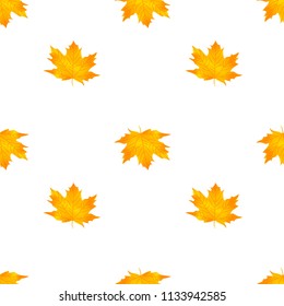 Autumn leaves pattern. Seamless pattern of maple leaves
