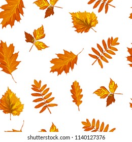 Autumn leaves pattern seamless on white background. Vector autumn leaves fall maple, ash or chestnut and poplar leaf. Orange design for autumn illustration.