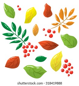 autumn leaves pattern in vector