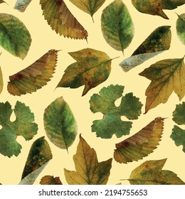 Autumn leaves pattern in vector design. November. Fall. Falling leaves