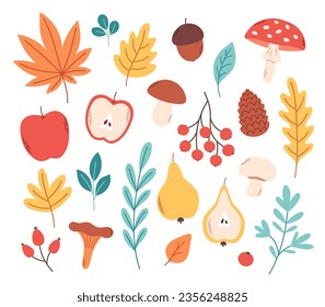 Autumn leaves, plants, mushrooms, fruits. Fall season, hello autumn. Vector illustration in flat style