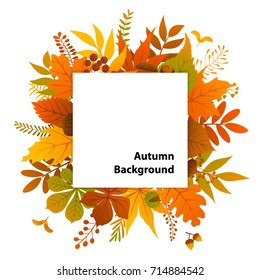 autumn leaves plants twigs square frame background