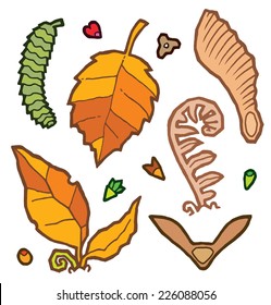 Autumn leaves and plants - vector elements for design