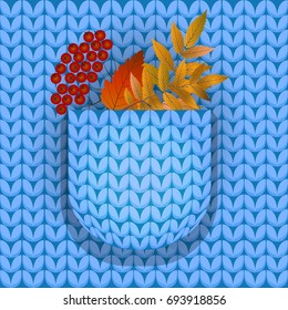 Autumn leaves in a pocket of a knitted sweater