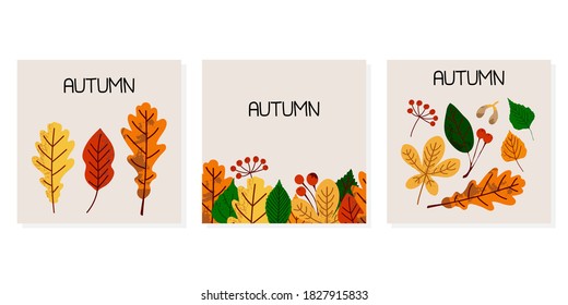 Autumn leaves posters. Fall orange yellow green foliage. Oak birch apple tree hand drawn elements with stamp texture, modern trendy colorful vector illustration, set of decor botanical banner