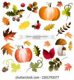 Autumn leaves, pumpkin, mushrooms, berries, acorns made in watercolor technique. Set of autumn elements for design.