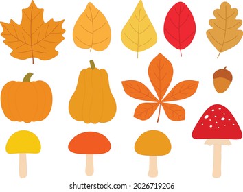 Autumn leaves pumpkin mushrooms vector illustration