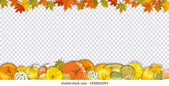 Autumn leaves and pumpkins border frame with space text on transparent background. Seasonal floral maple oak tree orange leaves with gourds for thanksgiving holiday, harvest decoration vector design.