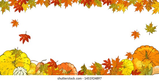 Autumn leaves and pumpkins border frame with space text on transparent background. Seasonal floral maple oak tree orange leaves with gourds for thanksgiving holiday, harvest decoration vector design.