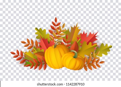 Autumn leaves and pumpkins pattern on transparent background. Seasonal floral maple oak tree orange leaves with gourds for thanksgiving holiday, harvest decoration vector design.