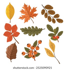 Autumn leaves and pumpkins set isolated white background, thanksgiving elements vector, autumn illustration, hello autumn vector