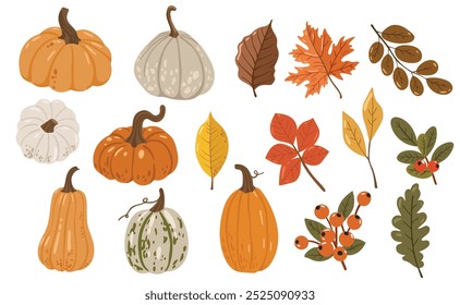 Autumn leaves and pumpkins set isolated white background, thanksgiving elements vector, autumn illustration, hello autumn vector