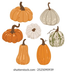 Autumn leaves and pumpkins set isolated white background, thanksgiving elements vector, autumn illustration, hello autumn vector