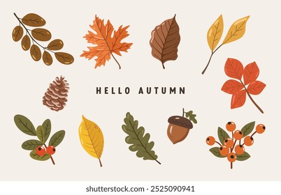 Hojas de otoño y calabazas conjunto aislado fondo blanco, Vector de Elementos de acción de gracias, ilustración de otoño, hola Vector de otoño