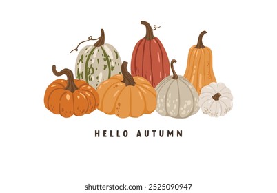 Autumn leaves and pumpkins set isolated white background, thanksgiving elements vector, autumn illustration, hello autumn vector