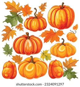 Autumn Leaves and Pumpkins vector design