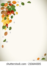 Autumn leaves with rose-hips, background
